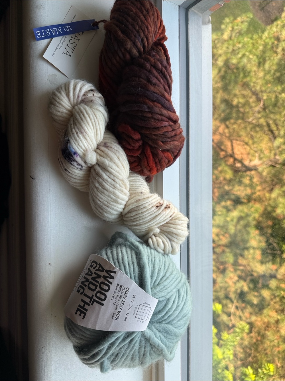 Malabrigo yarn /Wool and the Gang Chunky Yarn - Cozy Wool Skein from slamfibres